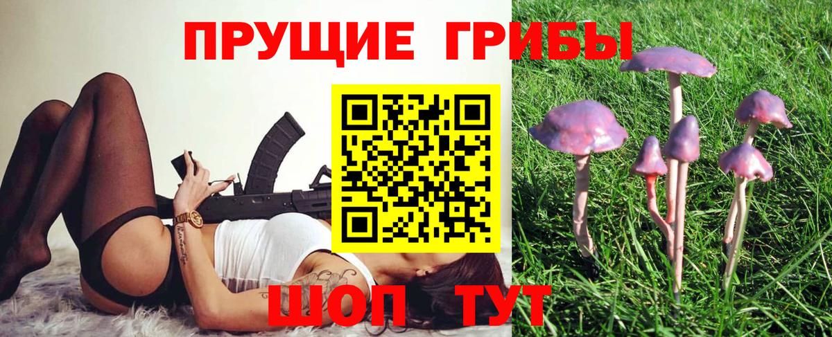 Галлюциногенные грибы MAGIC MUSHROOMS  Вход с VPN  Кириши 