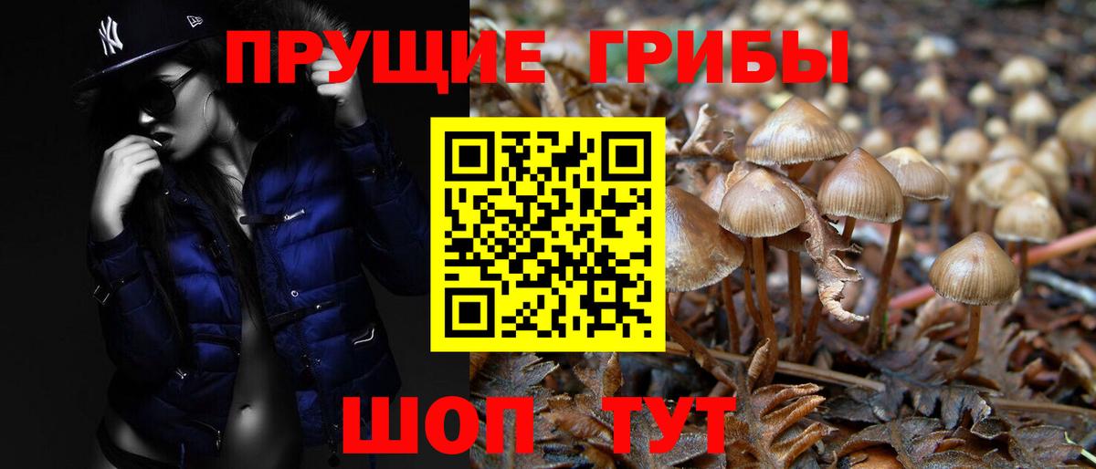 Галлюциногенные грибы ЛСД Кириши